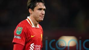 Federico Chiesa still has a part to play for Liverpool this season – Arne Slot