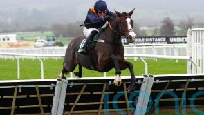 Mirabad backed to make presence felt in major handicaps