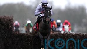 George: Straight to Cheltenham with Il Est Francais