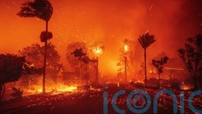 Small number of Irish citizens affected by LA wildfires – Martin