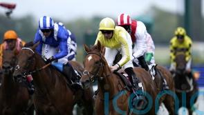 Choisya makes all for Cape Verdi title