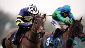 Jubilee Alpha sets up Cheltenham bid with Windsor victory