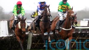 That’s Nice wins cosily at Warwick, but Festival foray unlikely