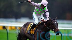Royale Pagaille handed Haydock redemption mission