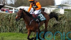 Noble Yeats getting plenty of ‘TLC’ but racing future very much up in the air