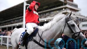Skelton happy to have likes of Grey Dawning on his side in David Power Jockeys’ Cup race