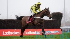 Henderson sets sights on familiar Newbury target for Sir Gino