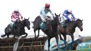 Derham plotting double assault on William Hill Handicap Hurdle