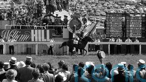 Remembering that glorious Derby and the Shergar mystery