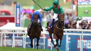 Tributes pour in for the Aga Khan, breeder of ‘almost perfect equine athletes’