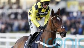 Five set to take Sir Gino on at Newbury on Saturday