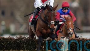 O’Neill duo being lined up for post-Cheltenham targets