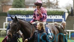 Crambo to be given one more Cheltenham chance