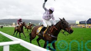 Golden Ace back in business with Kingwell Hurdle success