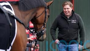 ‘I love everything about him’ – The New Lion ready to roar at Cheltenham