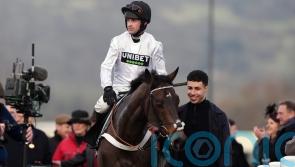 &lsquo;Getting the adrenaline going&rsquo; will do Constitution Hill good, says De Boinville