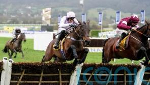 Scott favouring Mares’ Hurdle for Golden Ace