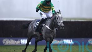 Joyeuse joins battle for Mares’ Hurdle honours