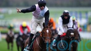 Teahupoo tops 20 in the hunt for Stayers’ Hurdle honours