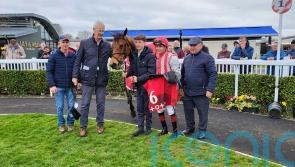 Sunchart shines once more in Naas feature