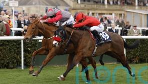 Thunder Roar team mulling Doncaster demotion appeal