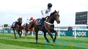 Constitution Hill unperturbed after shock fall and out for Aintree redemption