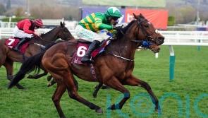 Puturhandstogether and Naturally Nimble flying flag for O’Brien