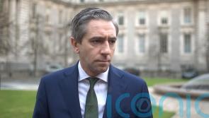 Need for ‘maturity’ in EU-US talks on tariffs, Harris says