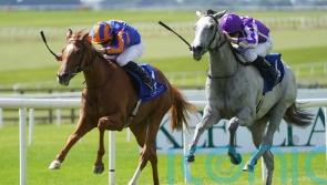 ‘Little setback’ could delay return of Falling Snow