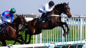 Constitution Hill ‘fresh as paint’, with sights set on Punchestown