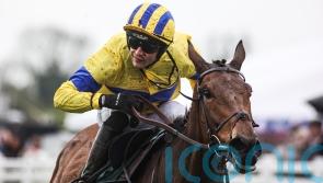 Spindleberry strikes Fairyhouse Gold for Willie Mullins