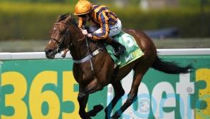 Lockinge on Dancing Gemini radar if ground is right