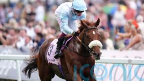 Giavellotto given Coronation Cup target by Botti