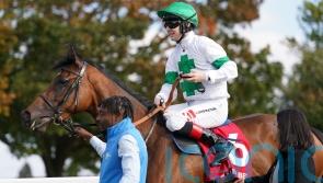 Newbury or Paris next on the agenda for Tamfana