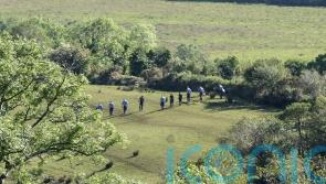 Partial human remains found in search for missing Co Kerry farmer Michael Gaine