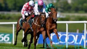 Babouche back on song to set up Commonwealth Cup bid