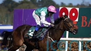 Weld eager for rain ahead of Swelter’s Guineas date