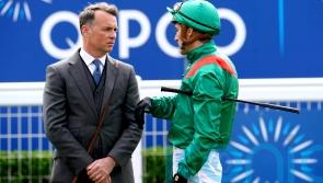 Unbeaten Midak to be added to the Derby mix