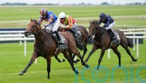The Lion In Winter drawn widest of all at Epsom