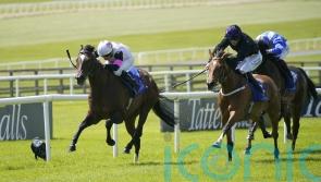 Donnacha O’Brien hoping Porta Fortuna will be back for the autumn