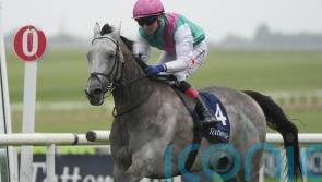 Field Of Gold on course for ’round two’ with Ruling Court