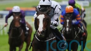 Brigid’s Cloak seeking new high at York