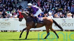 Flowerhead not certain to take Duchess of Cambridge chance