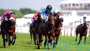 Asfoora carrying plenty of stable confidence for second crack at Goodwood sprint