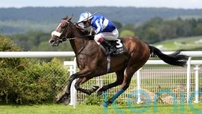 Goodwood victor Fox Legacy set Strensall task