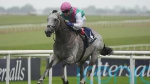Field Of Gold pleasing Gosden with setback recovery