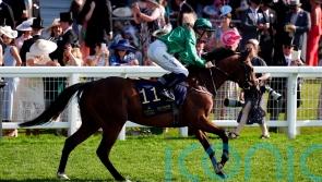 Royal Whip run could determine Zahraan plans