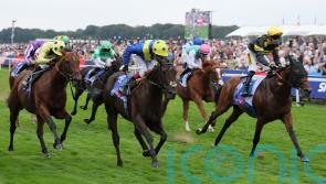 Hannon hoping Rosallion might get chance to shine at the Breeders’ Cup