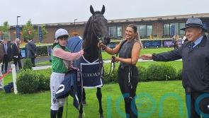 New owners for ‘extremely exciting’ Willie Mullins two-year-old