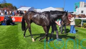 ‘Weather-watch’ for leading Solonoway contender Alakazi